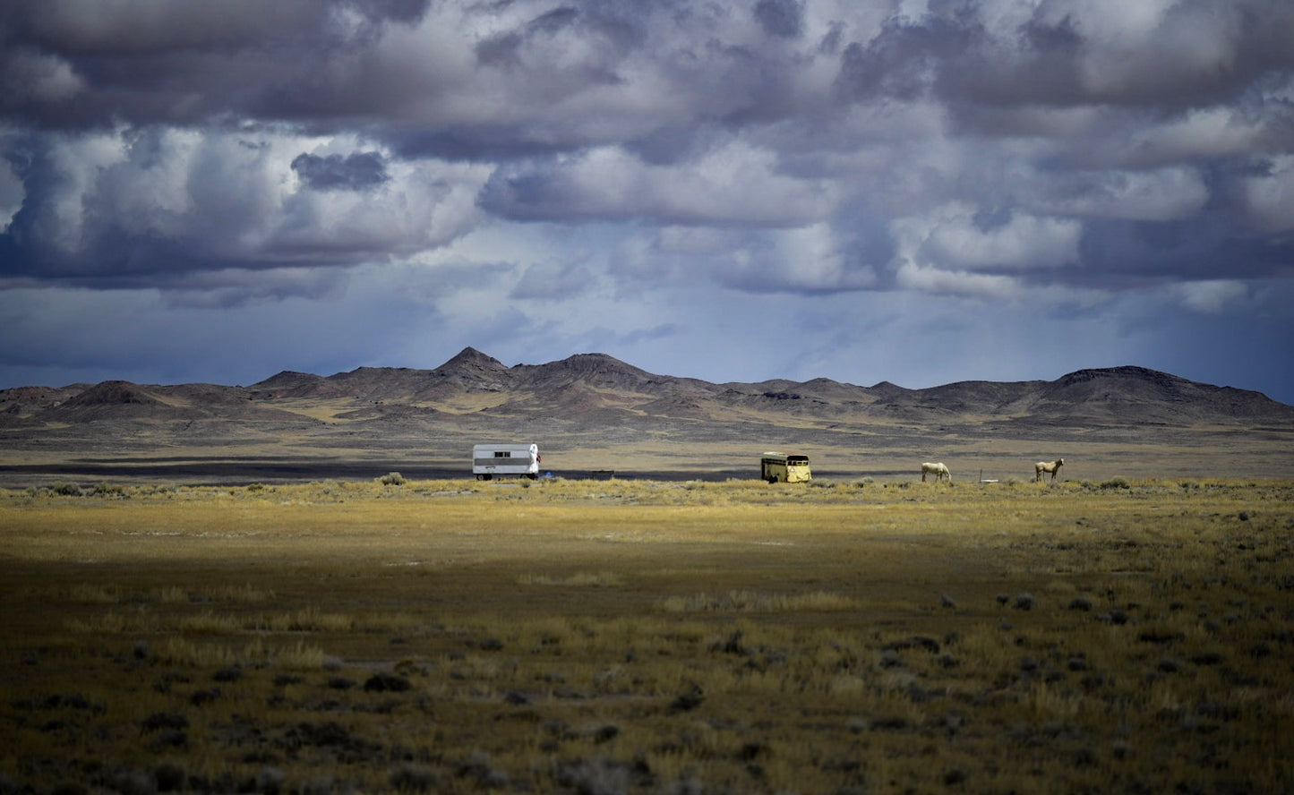 Sheep Camp